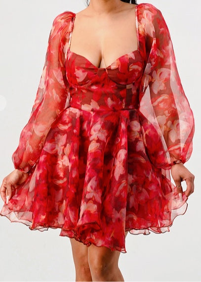 Rose Garden Ruffle Mini Dress