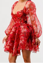 Load image into Gallery viewer, Rose Garden Ruffle Mini Dress
